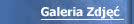 Galeria Zdj��